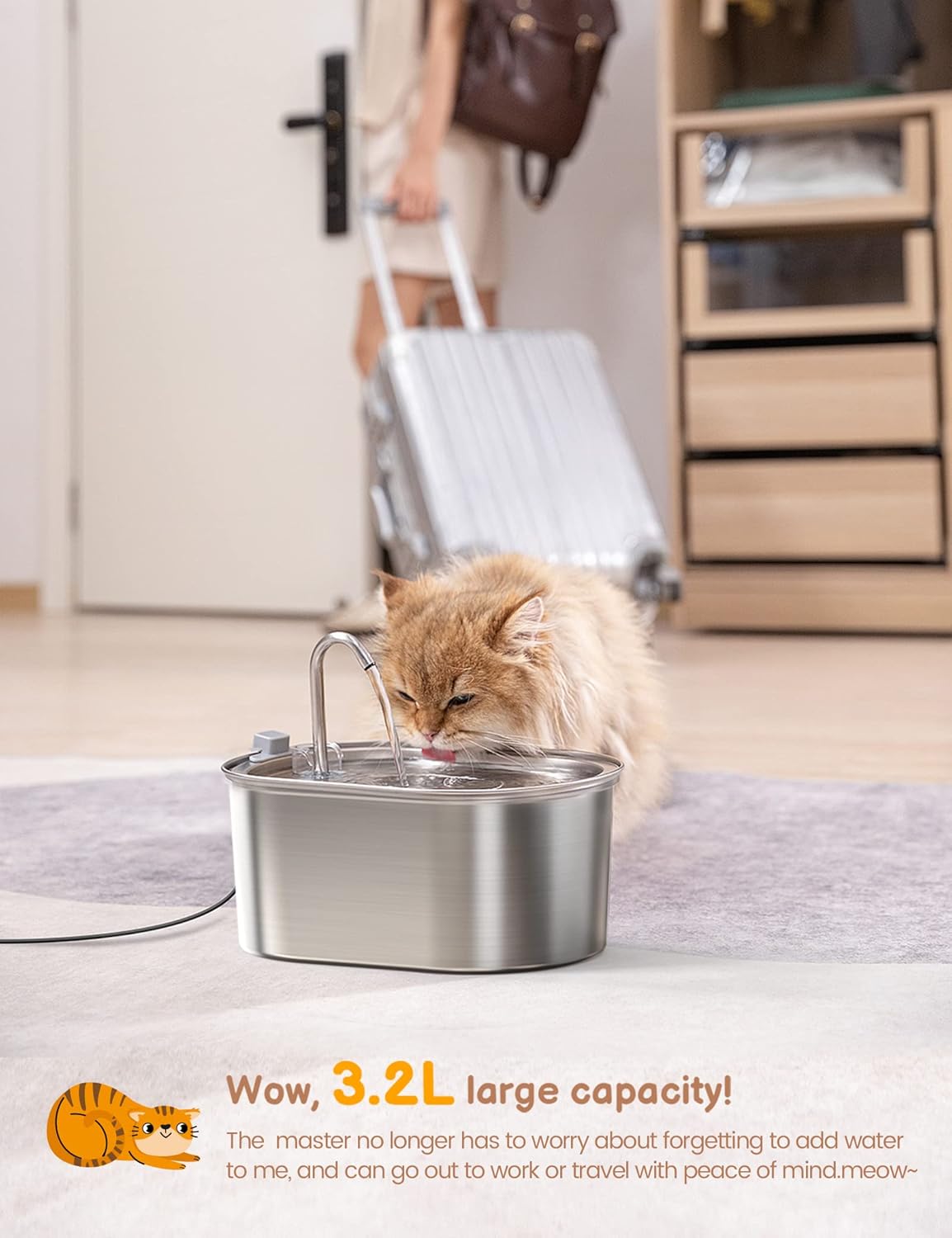 Cat Fountain 3.2L