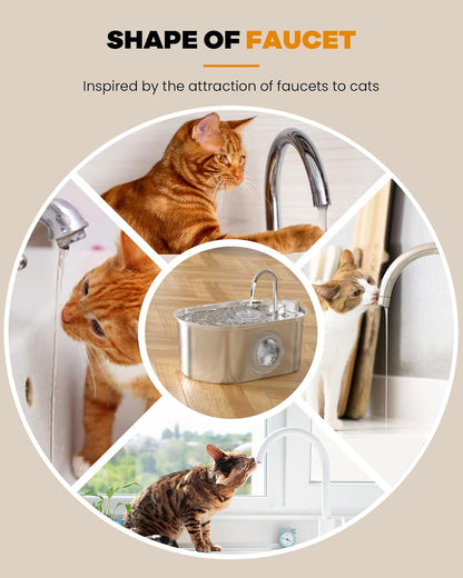 Cat Fountain 3.2L