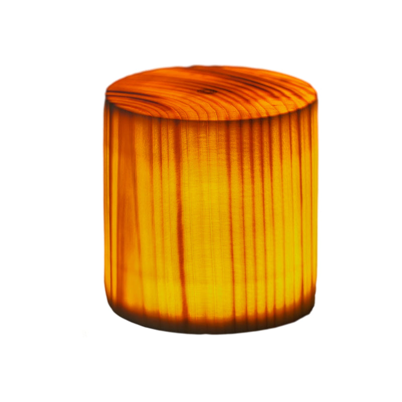 GloedHout - Table Lamp with Built-in Battery and Touch Control LED for Bedroom and Office