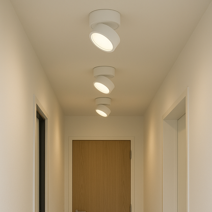 2-Pack Surface Ceiling Light