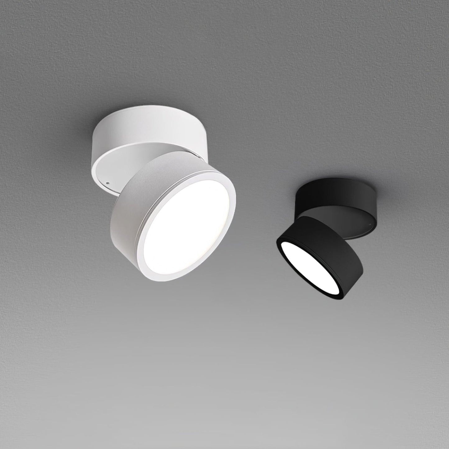 2-Pack Surface Ceiling Light