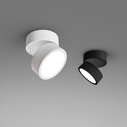 2-Pack Surface Ceiling Light