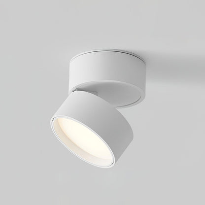 2-Pack Surface Ceiling Light