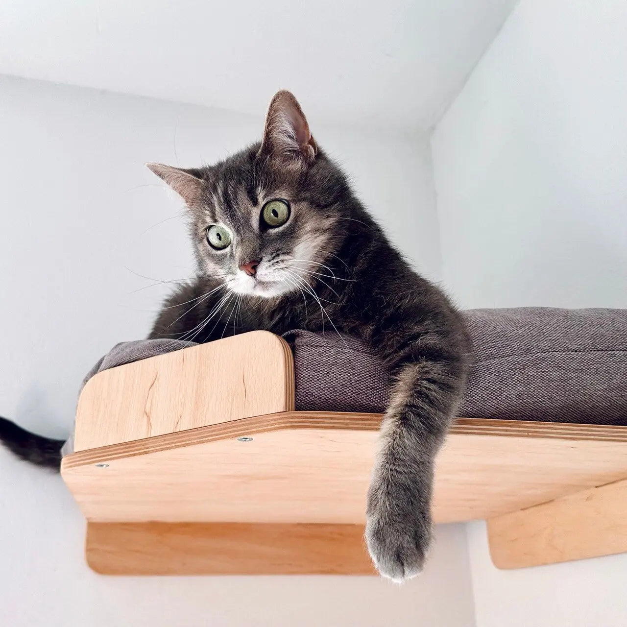 Custom Cat Wall Hammock