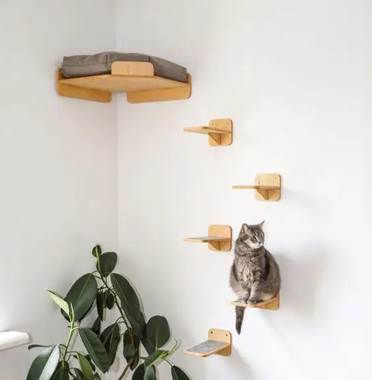 Custom Cat Wall Hammock