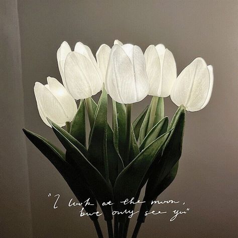 Tulip Night Lamp Table Roses