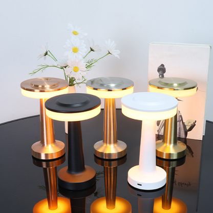 Birdona's Sleek Metal Table Lamp